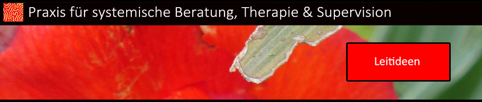 Systemische Therapie und Supervision - Leitideen
